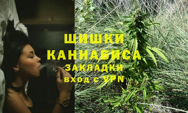 дурь Богданович