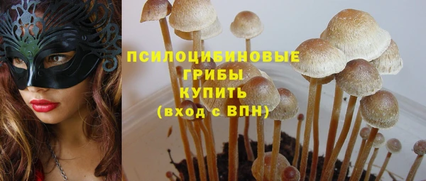 каннабис Богородицк