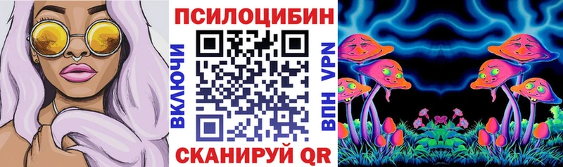 Купить где  Котово  Галлюциногенные грибы Magic Shrooms 