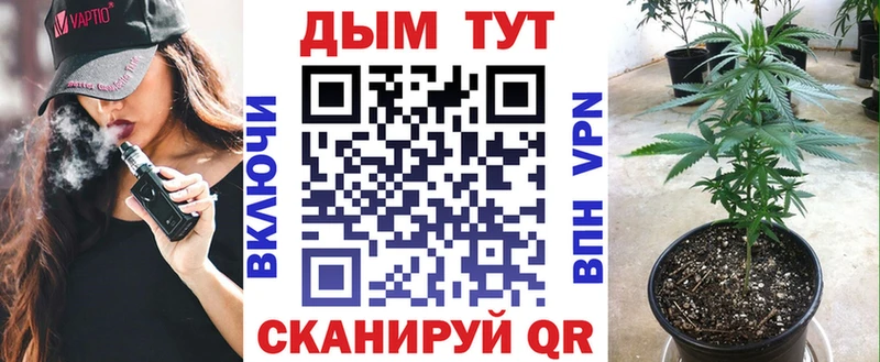 Купить  Котово  Канабис план 